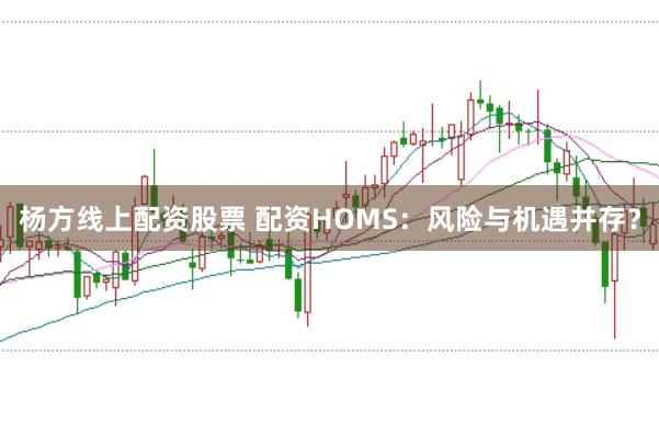 杨方线上配资股票 配资HOMS：风险与机遇并存？
