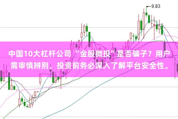 中国10大杠杆公司 “金股微投”是否骗子？用户需审慎辨别，投资前务必深入了解平台安全性。