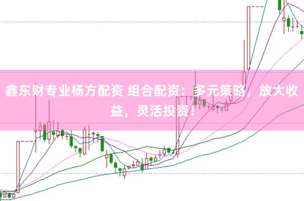 鑫东财专业杨方配资 组合配资：多元策略，放大收益，灵活投资！