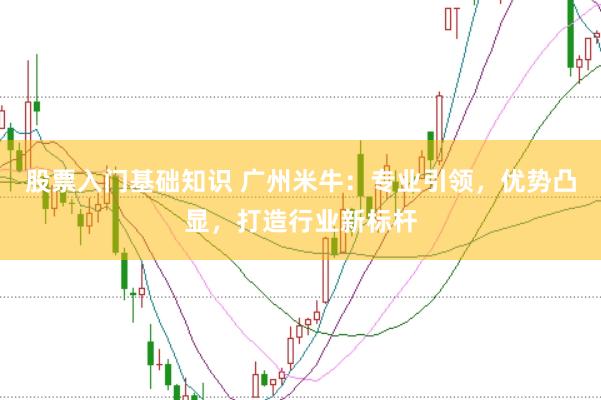 股票入门基础知识 广州米牛：专业引领，优势凸显，打造行业新标杆