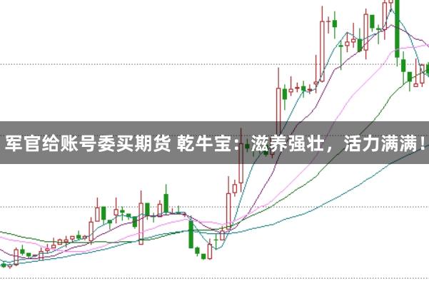 军官给账号委买期货 乾牛宝：滋养强壮，活力满满！