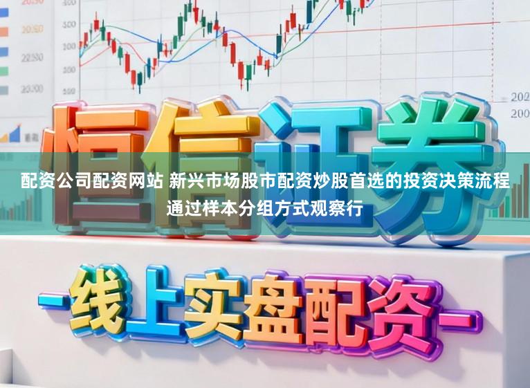 配资公司配资网站 新兴市场股市配资炒股首选的投资决策流程通过样本分组方式观察行