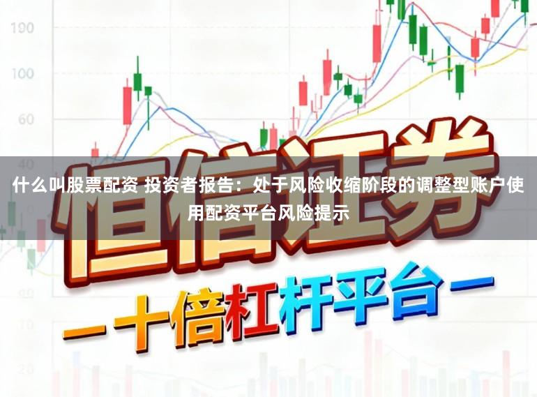 什么叫股票配资 投资者报告：处于风险收缩阶段的调整型账户使用配资平台风险提示