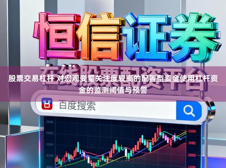股票交易杠杆 对宏观变量关注度较高的配置型资金使用杠杆资金的监测阈值与预警