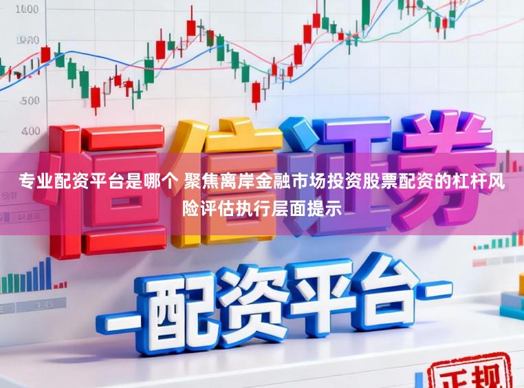 专业配资平台是哪个 聚焦离岸金融市场投资股票配资的杠杆风险评估执行层面提示