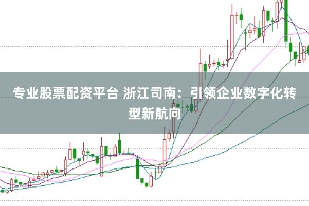 专业股票配资平台 浙江司南：引领企业数字化转型新航向